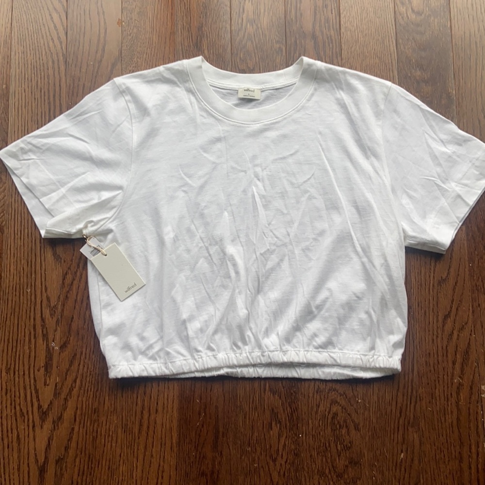 wilfred Cropped White Tee (from Aritzia)